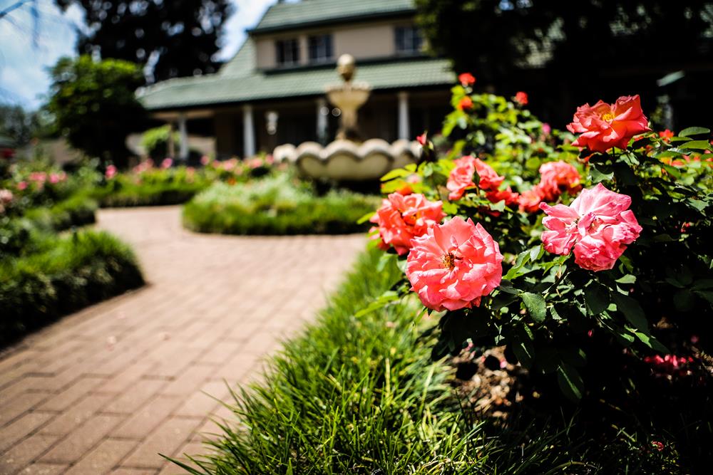 WillowBrookVillage1
